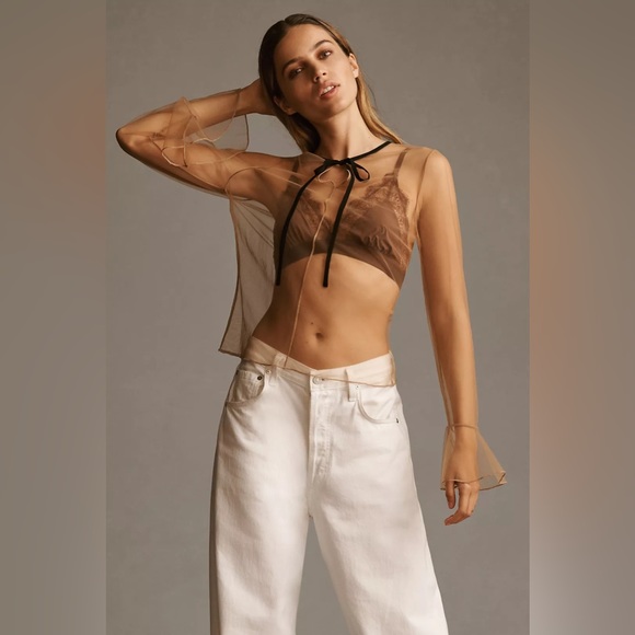 Anthro Sunday in Brooklyn Long-Sleeve Tie-Neck Mesh Top Anthropologie Boho Sheer - Picture 2 of 11